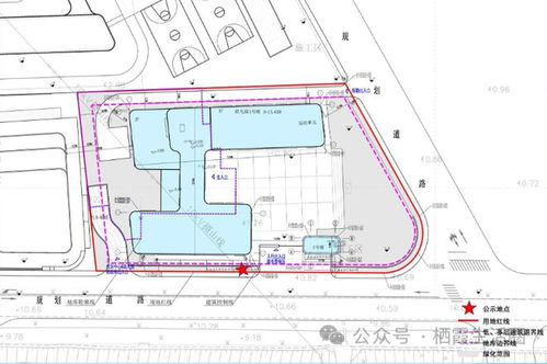 坐标仙林湖东 幼儿园 小学和社区服务中心规划效果图都来了