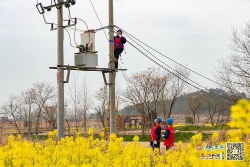 庐山市 优质服务助春耕 组图