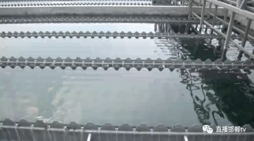 东部水厂消毒工艺系统改造 风险更低 稳定性更高