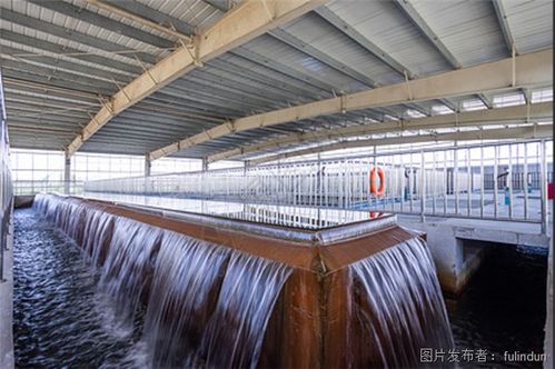 自来水厂如何通过雷达液位测量控制储水设施