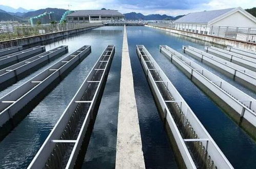 保卫自来水 外资大批收购国内供水厂,已掌控7000万人用水市场
