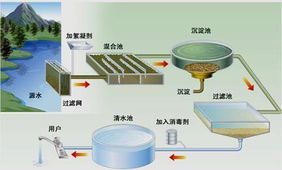 初中化学北京市石景山区2012 2013学年第一学期期末考试试卷及答案