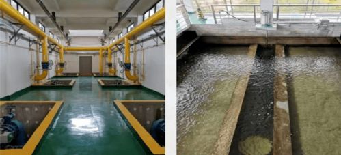 设计案例 西部标杆山地水厂 楚雄市第四自来水厂